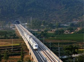 道路、橋梁、隧道與市政工程質量控制精華集萃——筑龍論壇專業分享