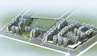 成華區龍潭片區新居工程配套市政道路工程項目管理概述