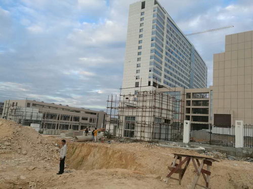 精準督導促實效，長埔路市政工程建設穩步推進——局領導深入一線檢查工程進展情況